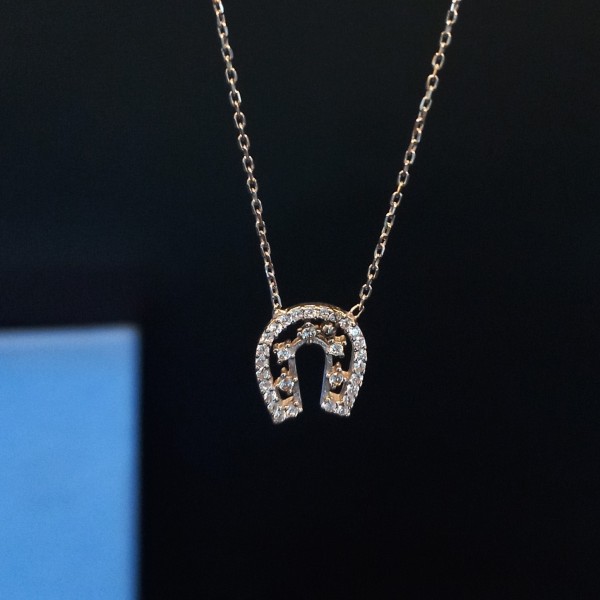 925 Sterling Silver Horse Shoe pendant and  Chain 